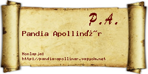 Pandia Apollinár névjegykártya